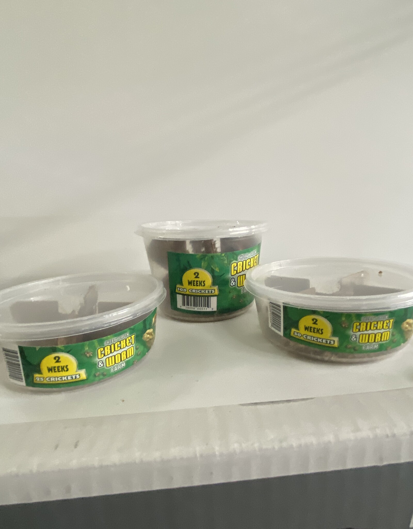 Cherry Creek Crickets - 2 Week (1/4)