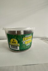 Cherry Creek Crickets - 2 Week