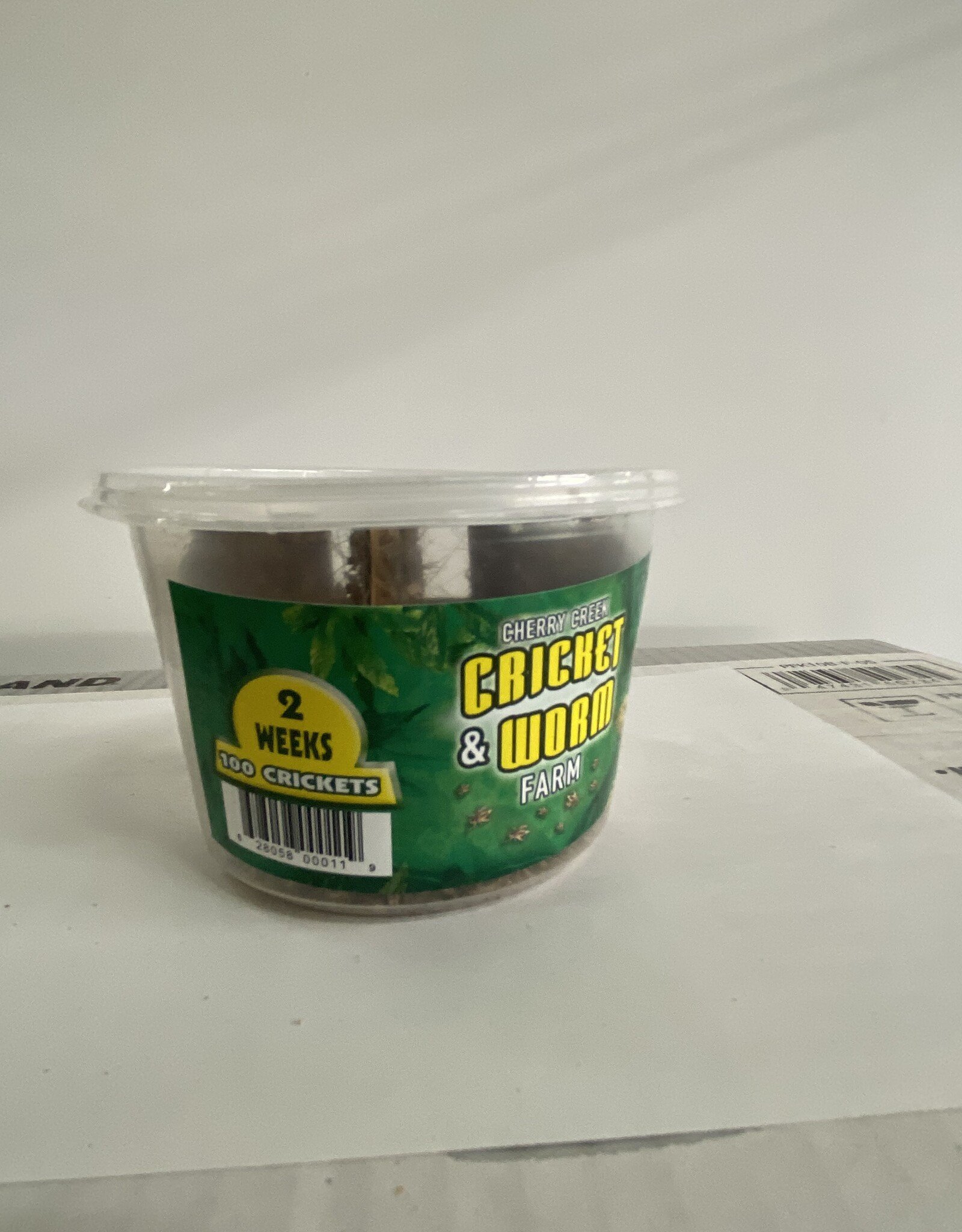 Cherry Creek Crickets - 2 Week (1/4)