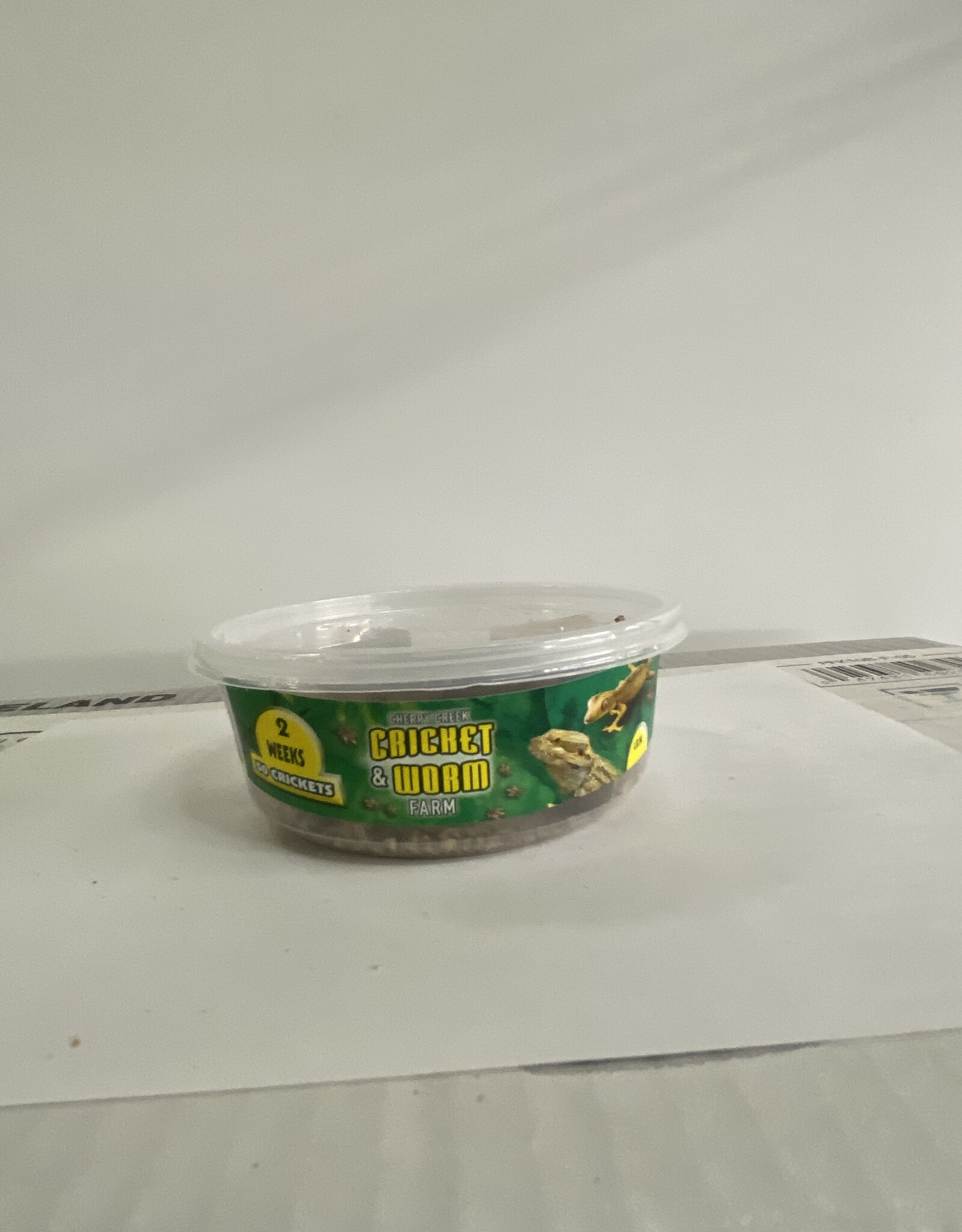 Cherry Creek Crickets - 2 Week (1/4)