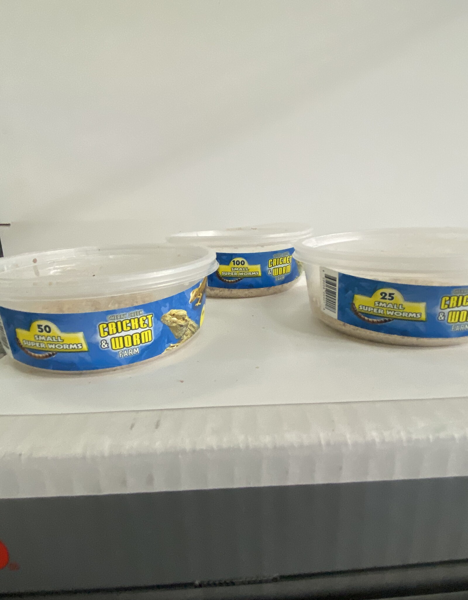 Cherry Creek Superworms