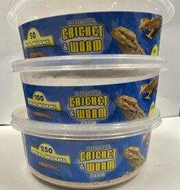 Cherry Creek Mealworms - Regular