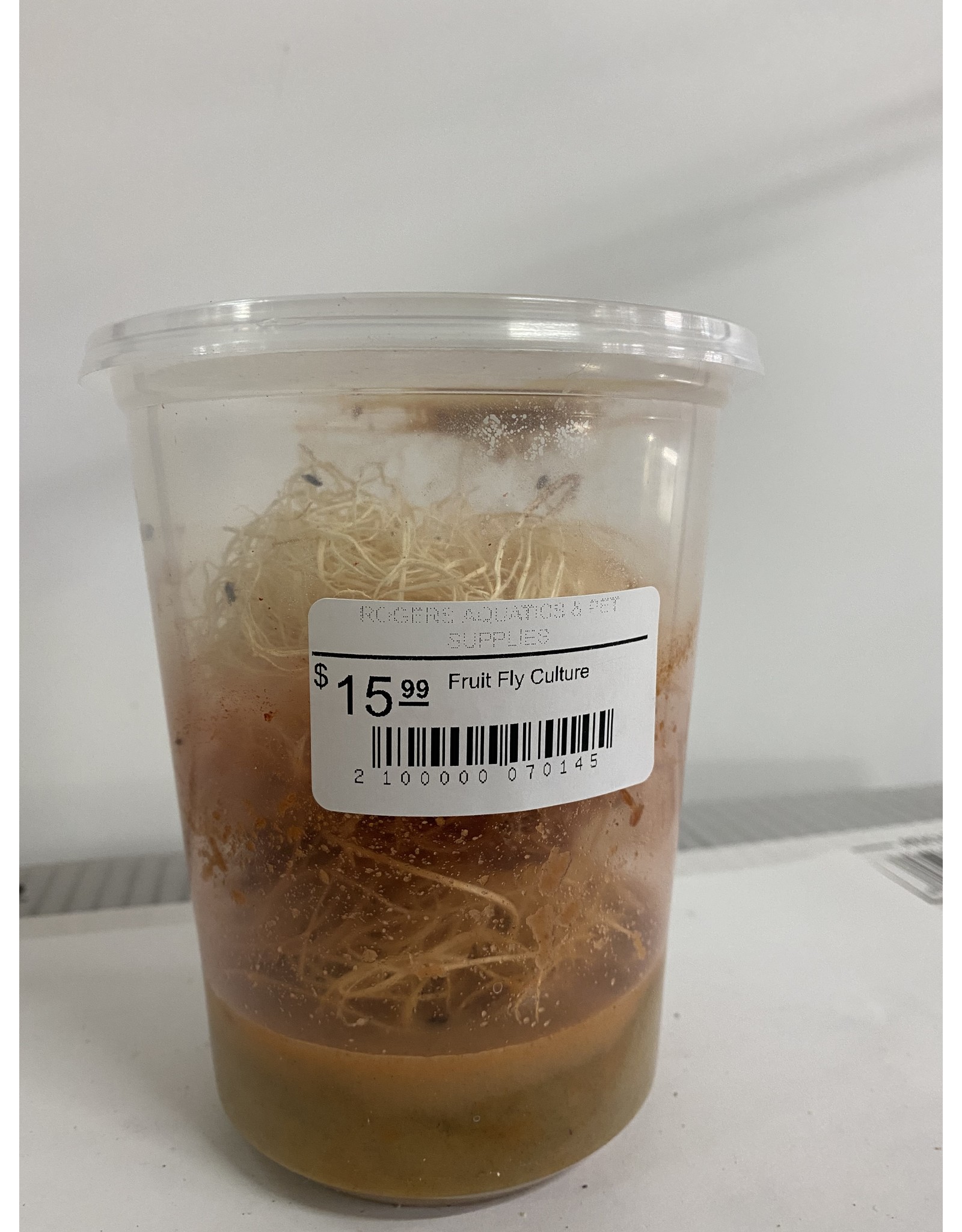 Cherry Creek Wingless Fruit Fly Culture