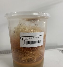 Cherry Creek Wingless Fruit Fly Culture