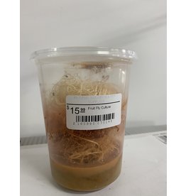 Cherry Creek Wingless Fruit Fly Culture