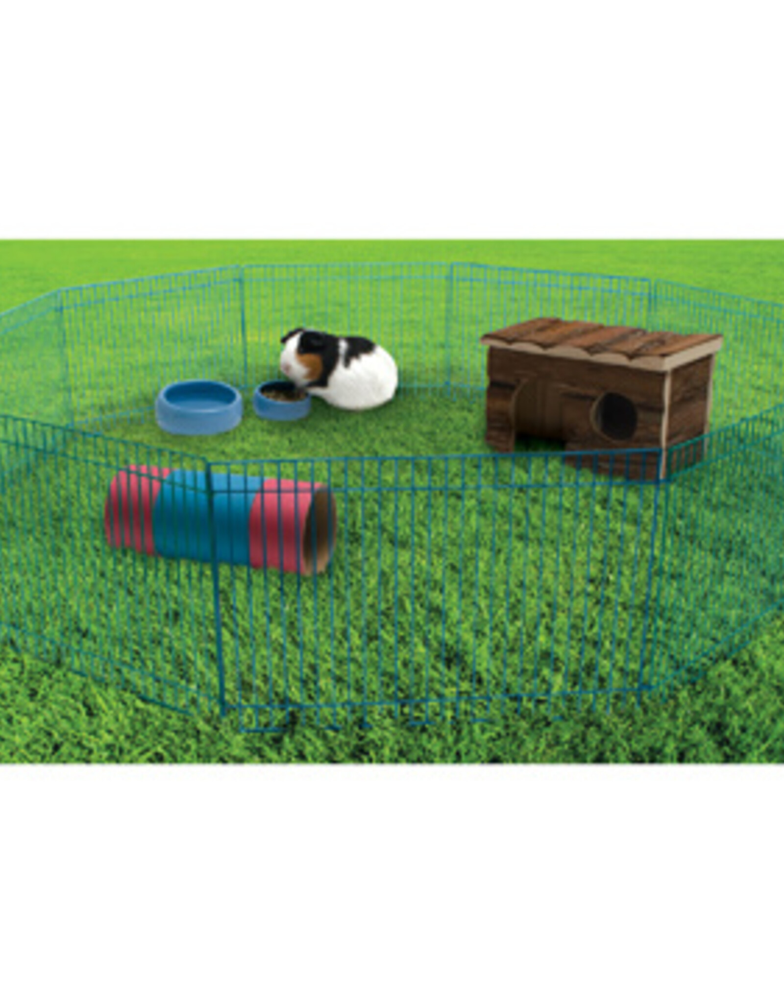 Living World LIVING WORLD Critter Play Time