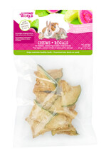 Living World LIVING WORLD Small Animal Chews Dried Guava Chips 25g