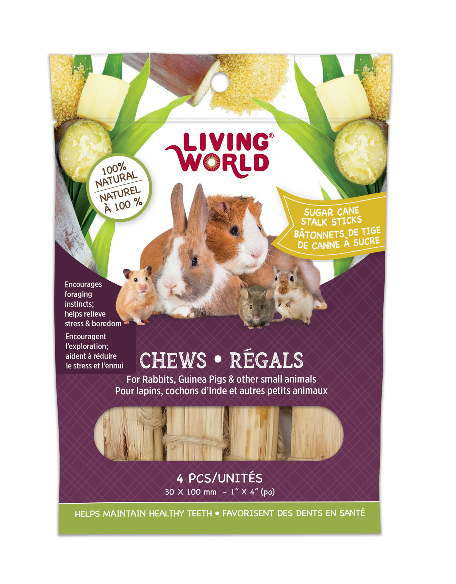 Living World LIVING WORLD Small Animal Chews Sugar Cane Stalk Sticks 4"x 4pc