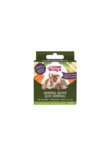 Living World LIVING WORLD Small Animal Mineral Block Vegetable