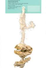 Oxbow OXBOW Enriched Life Natural Dangly