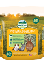 Oxbow OXBOW Orchard Grass