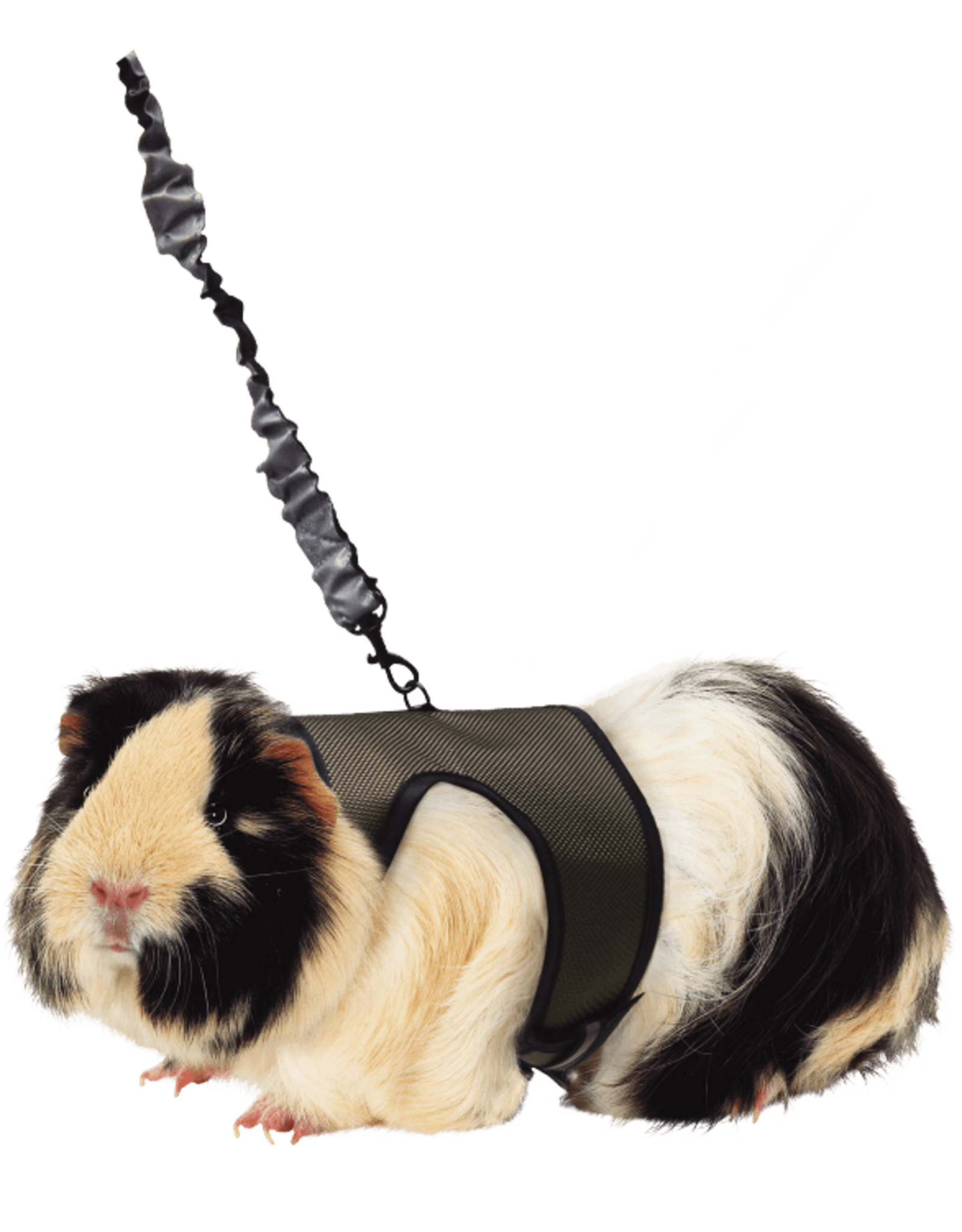 Kaytee/Super Pet KAYTEE Comfort Harness with Stretch Lead