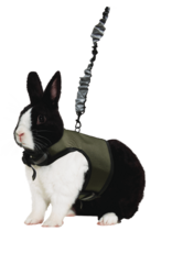 Kaytee/Super Pet KAYTEE Comfort Harness with Stretch Lead