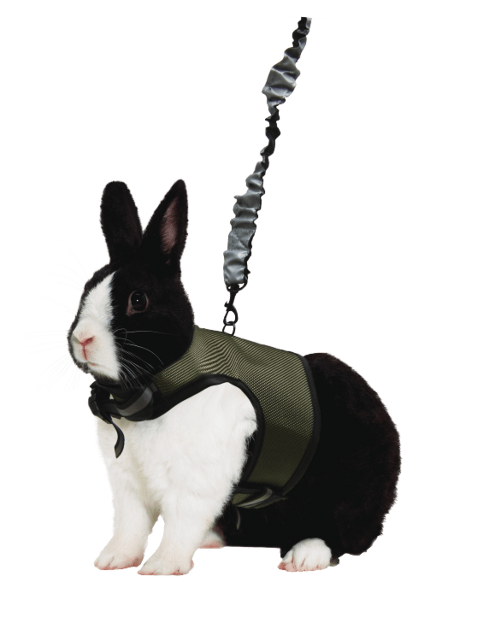 Kaytee/Super Pet KAYTEE Comfort Harness with Stretch Lead