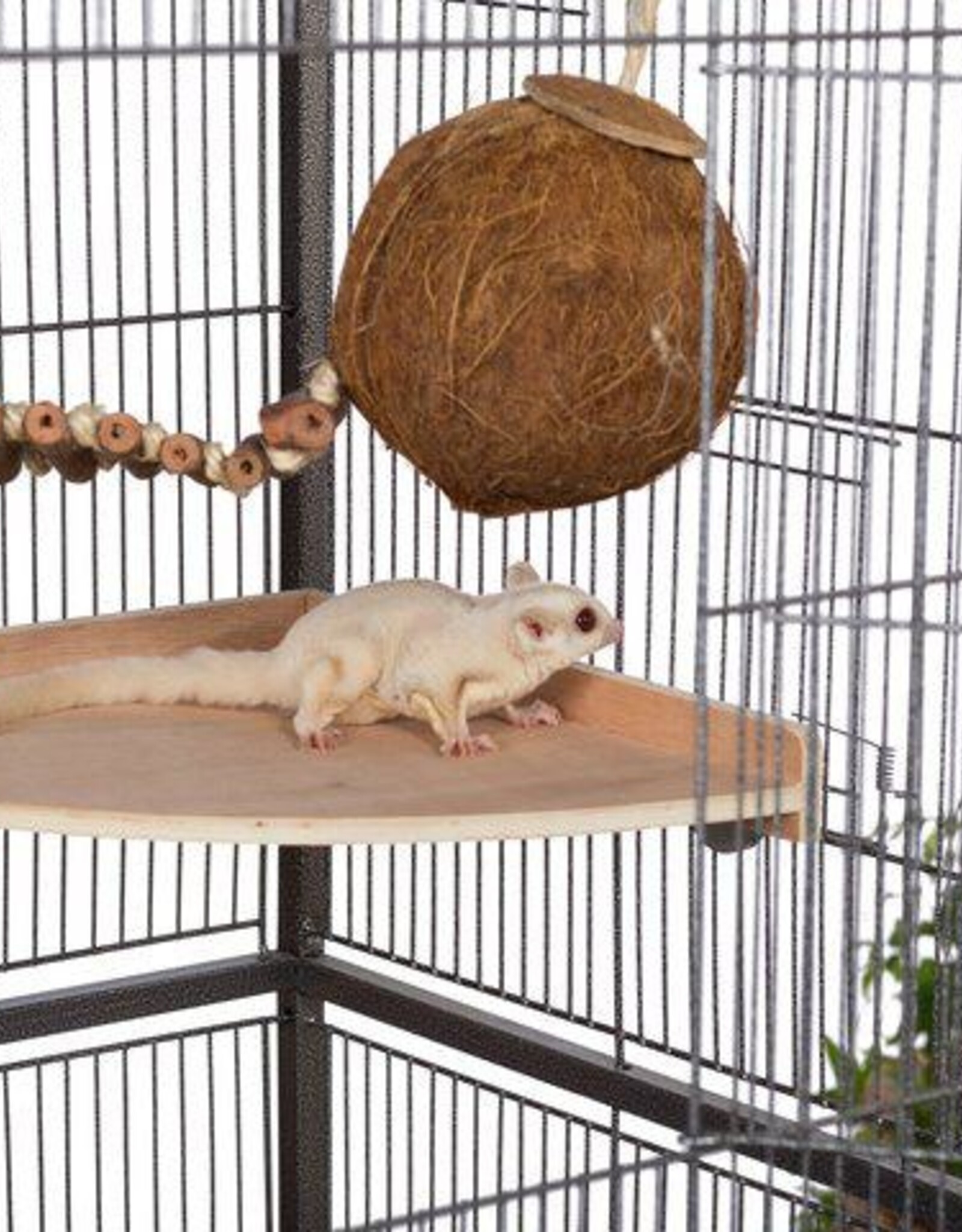 Prevue PREVUE Cage Corner Platform