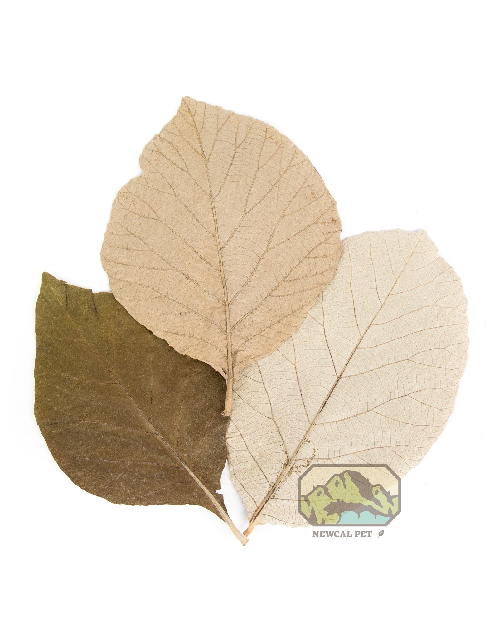 New Cal Pet NEWCAL Teak Leaves 10 Pack