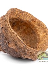 New Cal Pet NEWCAL Mini Monkey Pods 1oz (2-4cm)