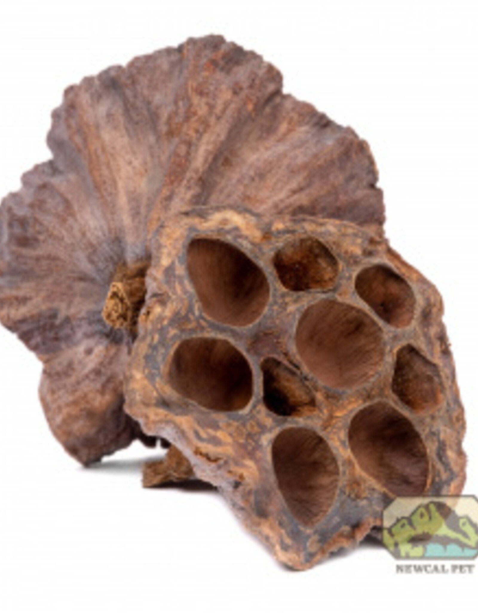 New Cal Pet NEWCAL Lotus Pods 4" 3pack