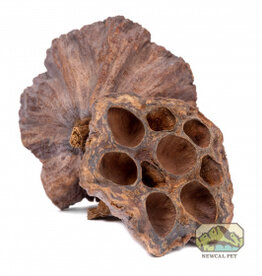 New Cal Pet NEWCAL Lotus Pods 4" 3pack