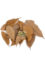 New Cal Pet NEW CAL Live Oak (Dried) Leaves