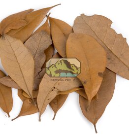 New Cal Pet NEWCAL Live Oak (Dried) Leaves
