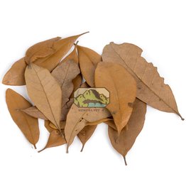New Cal Pet NEW CAL Live Oak (Dried) Leaves