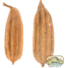 New Cal Pet NEWCAL Jhinga Pod 2 Pack