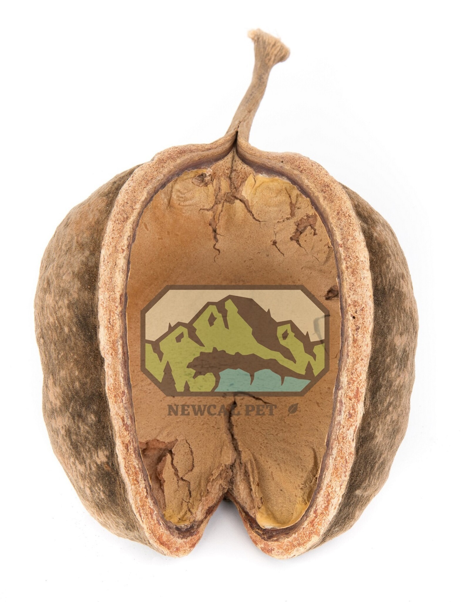 New Cal Pet NEWCAL Buddha Nut Large