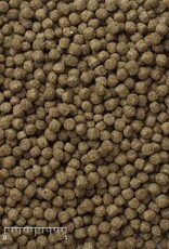 Mazuri MAZURI Bulk Koi Floating 1.5lbs