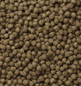 Mazuri MAZURI Bulk Koi Floating 1.5lbs