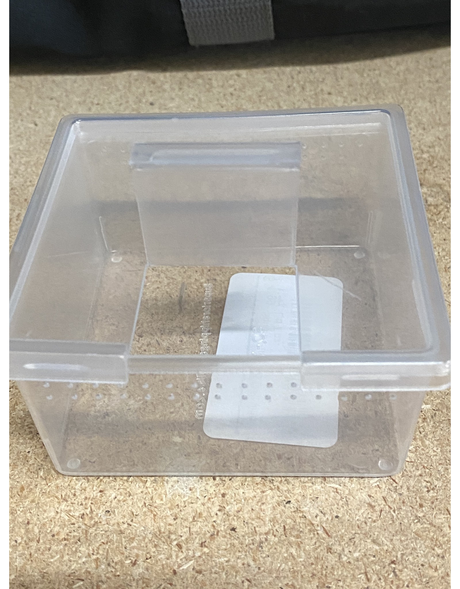 PET-TEKK Square Punched Deli Container with Lid - Roger's Aquatics & Pet  Supplies