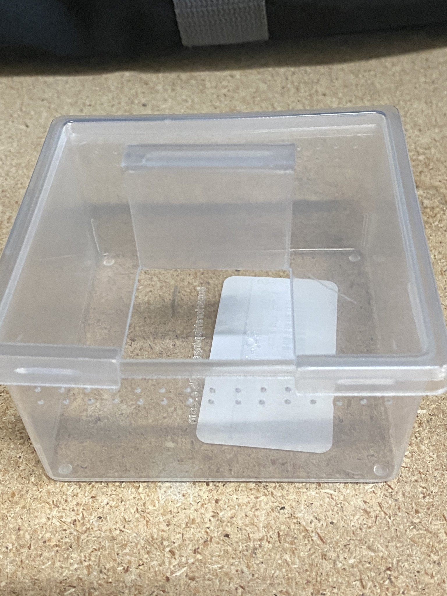 PET-TEKK Square Punched Deli Container with Lid - Roger's Aquatics & Pet  Supplies