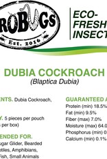 Pro Bugs PRO BUGS Dubia Cockroach 5 pcs