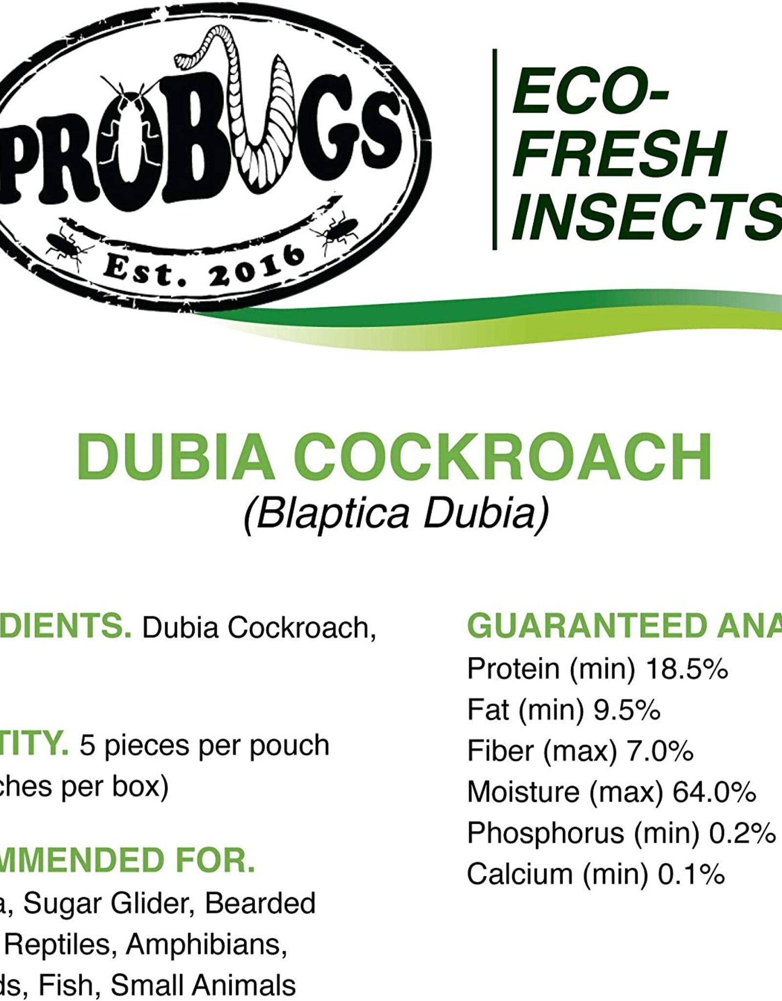 Pro Bugs PRO BUGS Dubia Cockroach 5 pcs