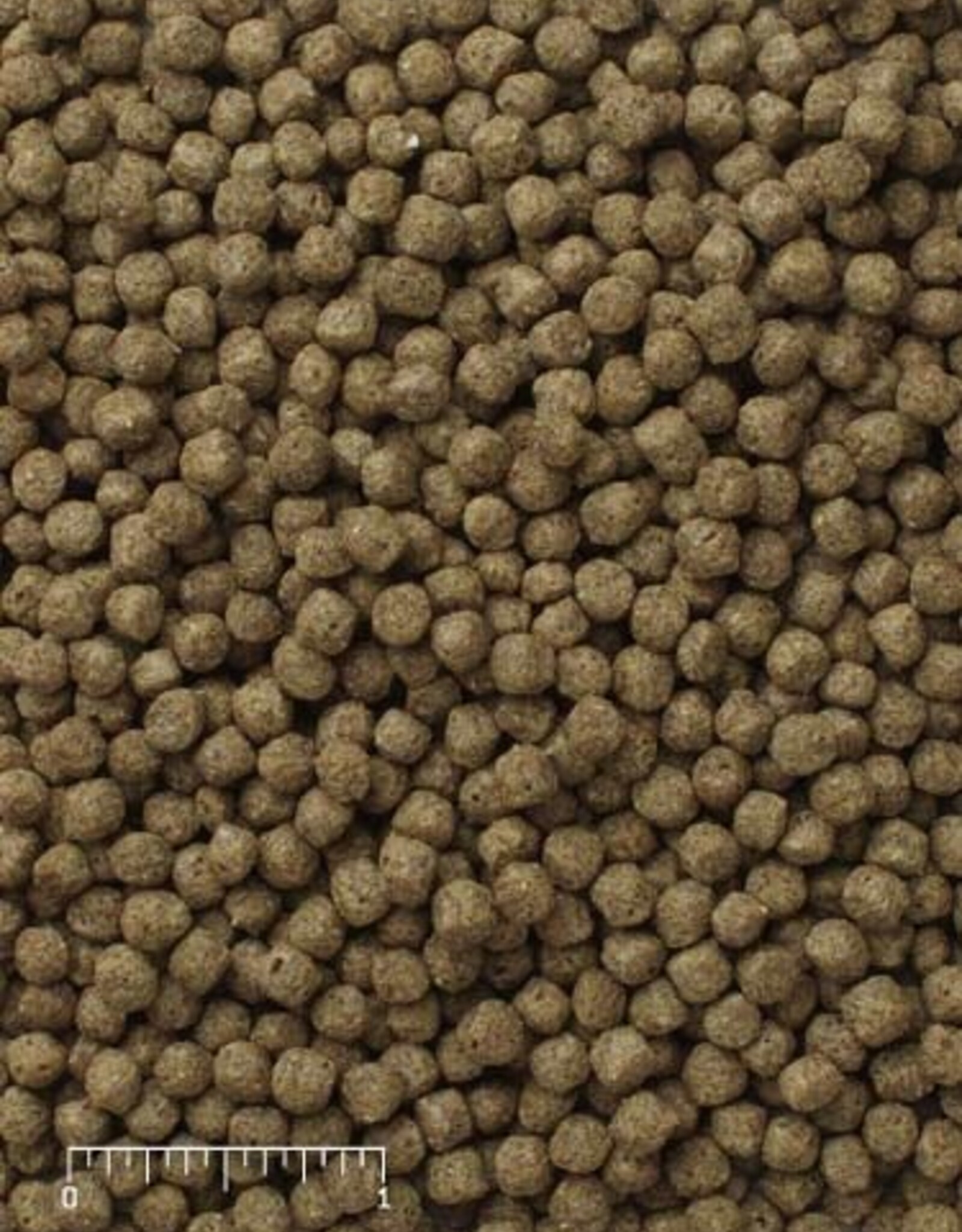 Mazuri MAZURI Koi Pond Nuggets 9kg