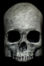 Habi-Scape Habi-Scape Skull Cave Grey