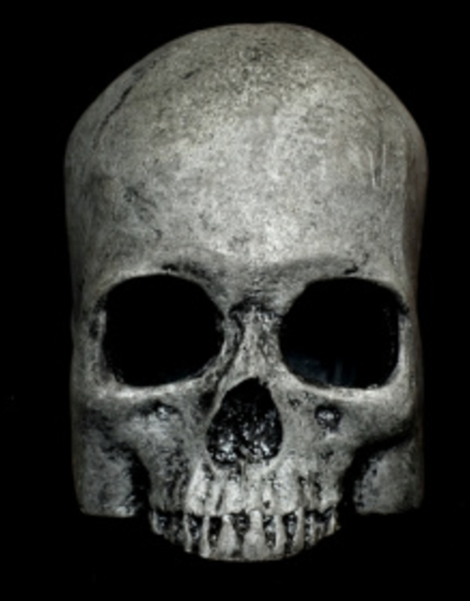 Habi-Scape Habi-Scape Skull Cave Grey