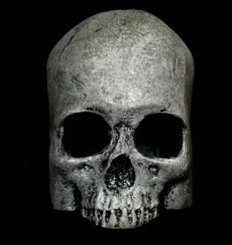 Habi-Scape Habi-Scape Skull Cave Grey