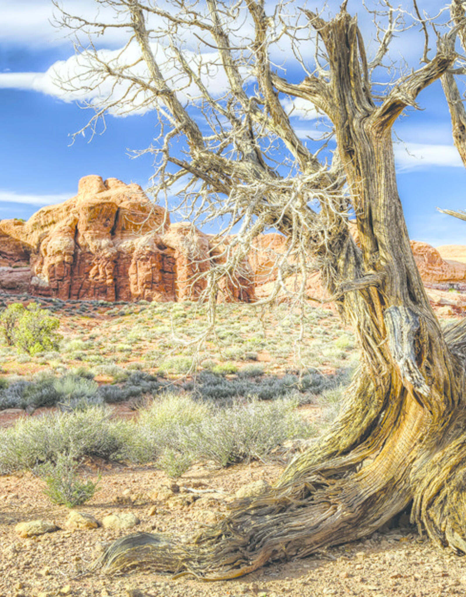 Galapagos GALAPAGOS Terrarium Cling 15"x36" (40 Gal)