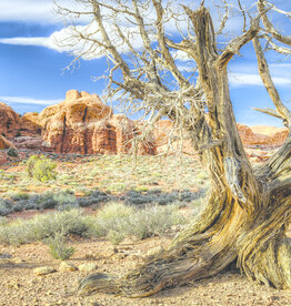 Galapagos GALAPAGOS Terrarium Cling 15"x36" (40 Gal)