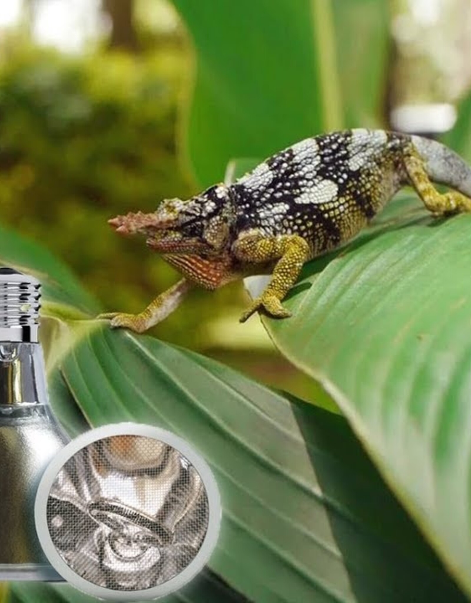 Arcadia ARCADIA Deep Heat Projector 50W