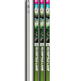 Arcadia ARCADIA Pro T5 HO 6% UVB Forest Lamp Bulb