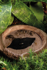 Exo Terra EXO TERRA Coconut Cave