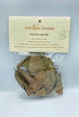Catappa Canada CATAPPA CANADA Guava Leaves 12 Pack