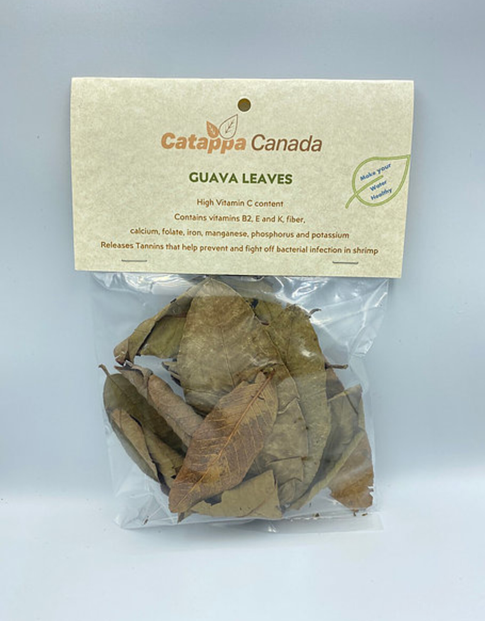 Catappa Canada CATAPPA CANADA Guava Leaves 12 Pack