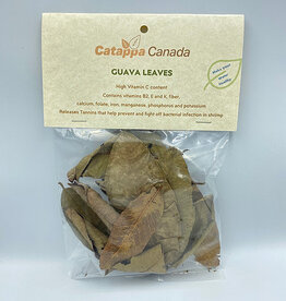 Catappa Canada CATAPPA CANADA Guava Leaves 12 Pack