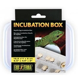 Exo Terra EXO TERRA Incubation Box
