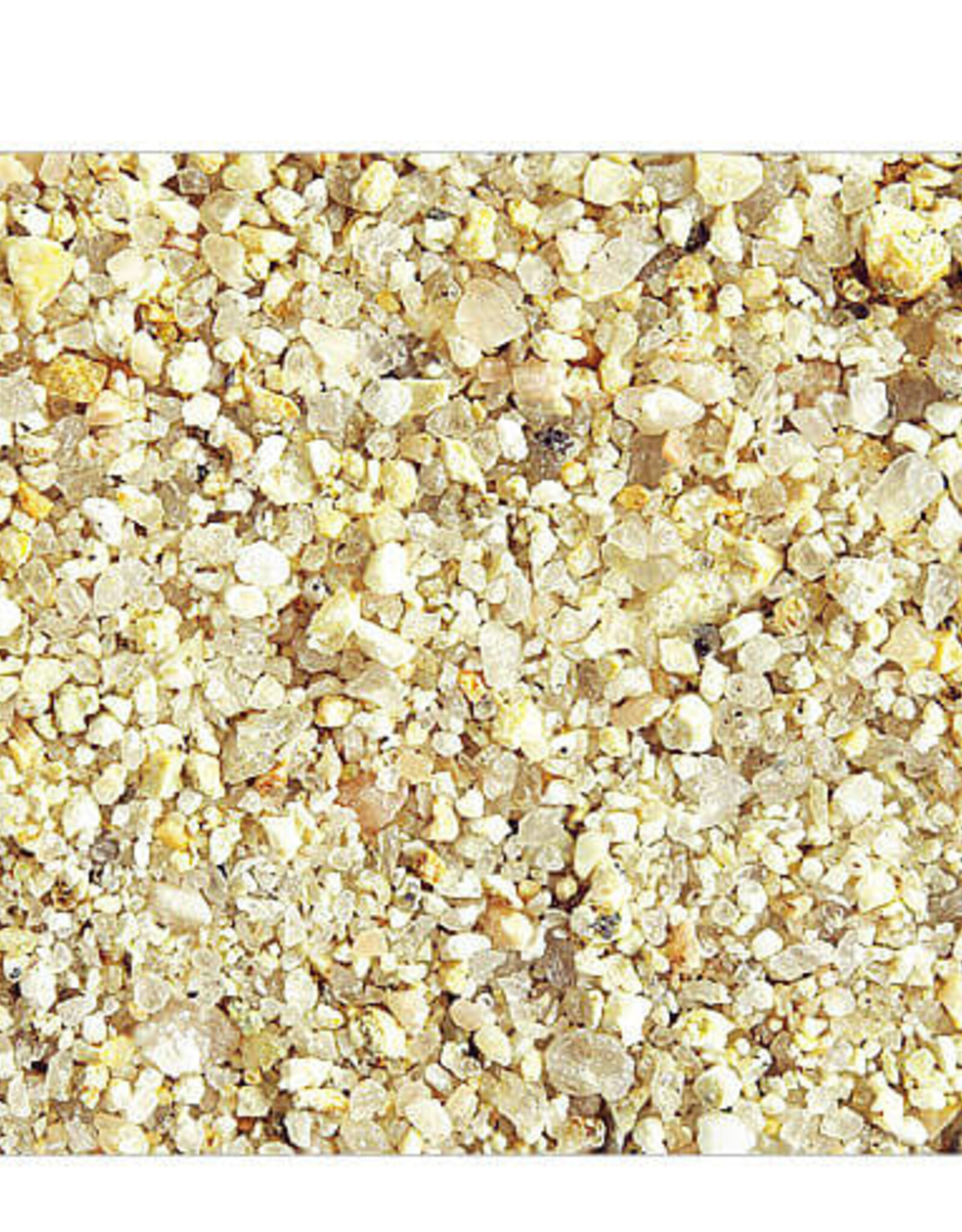 ADA ADA La Plata Sand