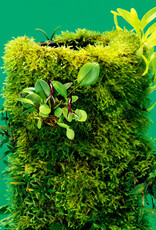 DOOA DOOA Terra Base