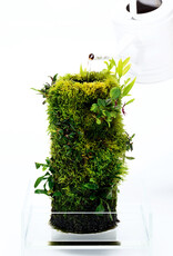 DOOA DOOA Terra Base